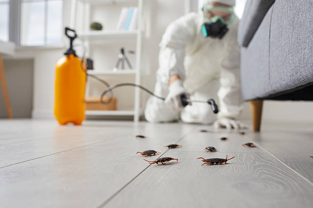 Trusted Emergency Pest Control service in Virginia Gardens, FL - Nex Pest Control